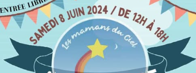 Concert caritatif FmR au Parc des Expositions de Mantes-la-Jolie (78), 8 juin 2024, photo 3